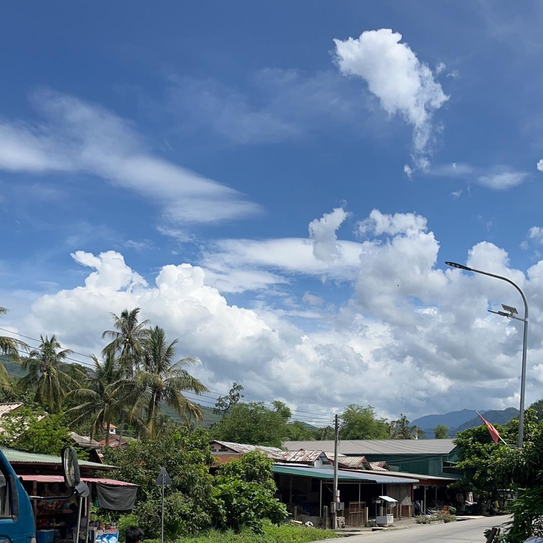 阿豪助农才艺直播间（夜班）