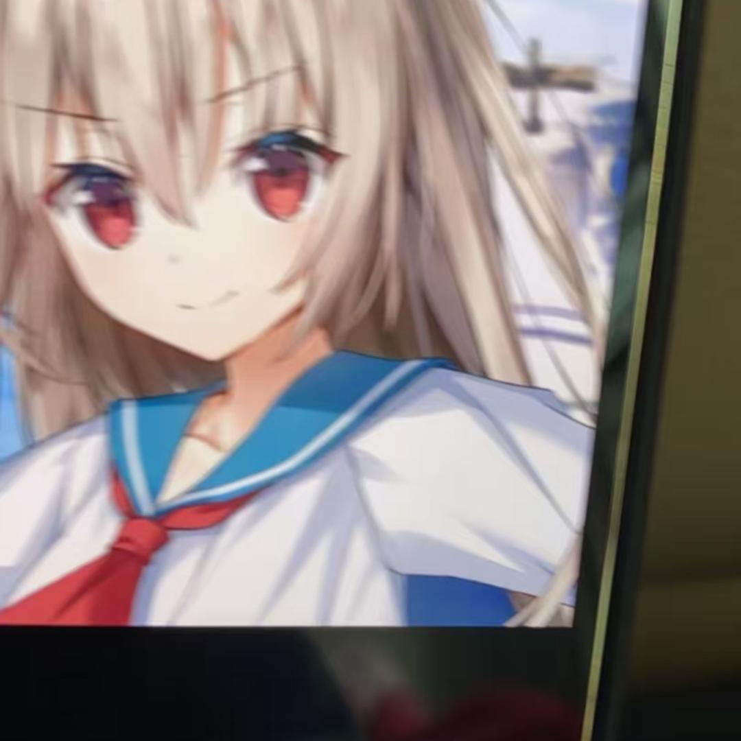高性能萝卜子