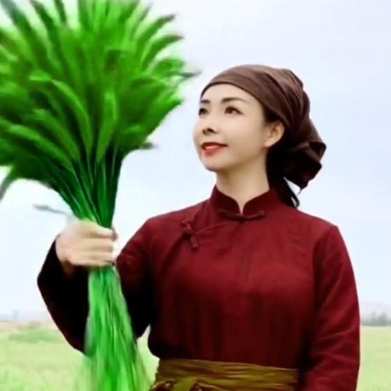 心的声音