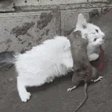 爱上宝贝