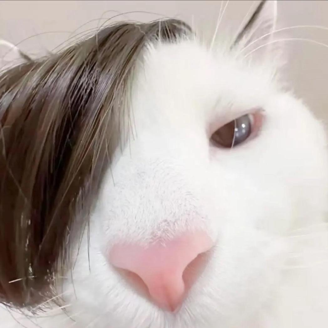 我的cp绝不会be
