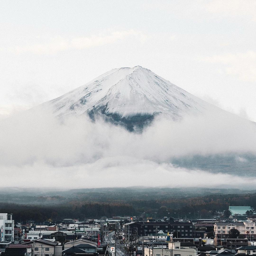 千山鸟飞绝