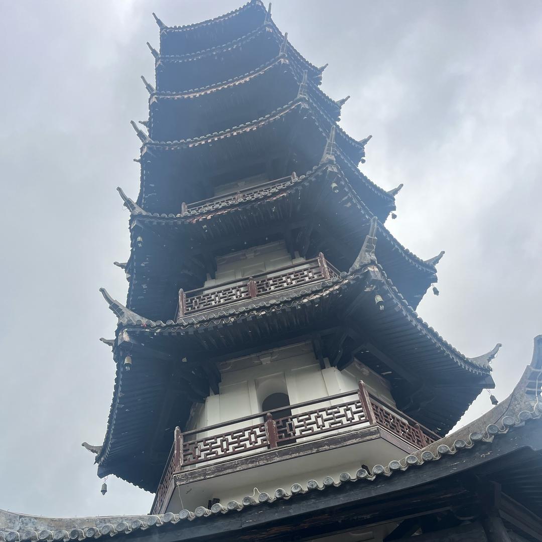 丹城飞手