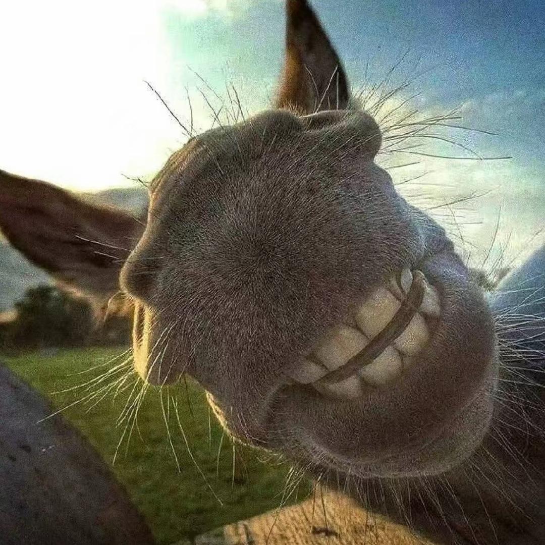 ￴￴￴￴￴￴￴￴￴￴￴￴