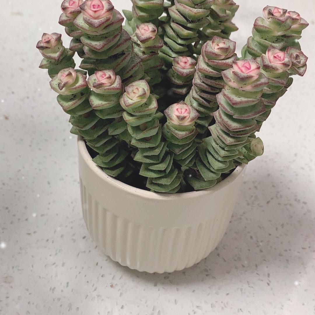 弘凡百货