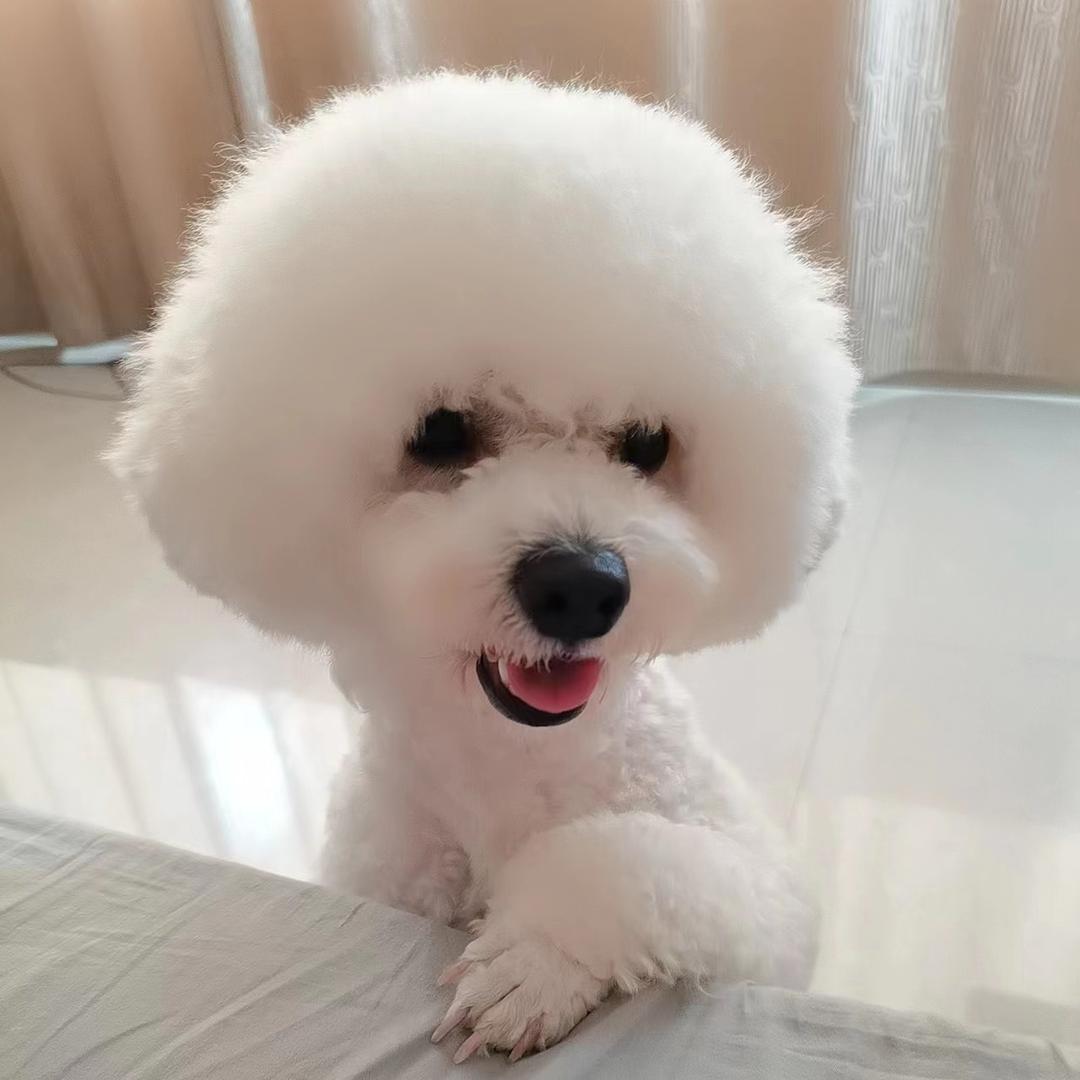森兰