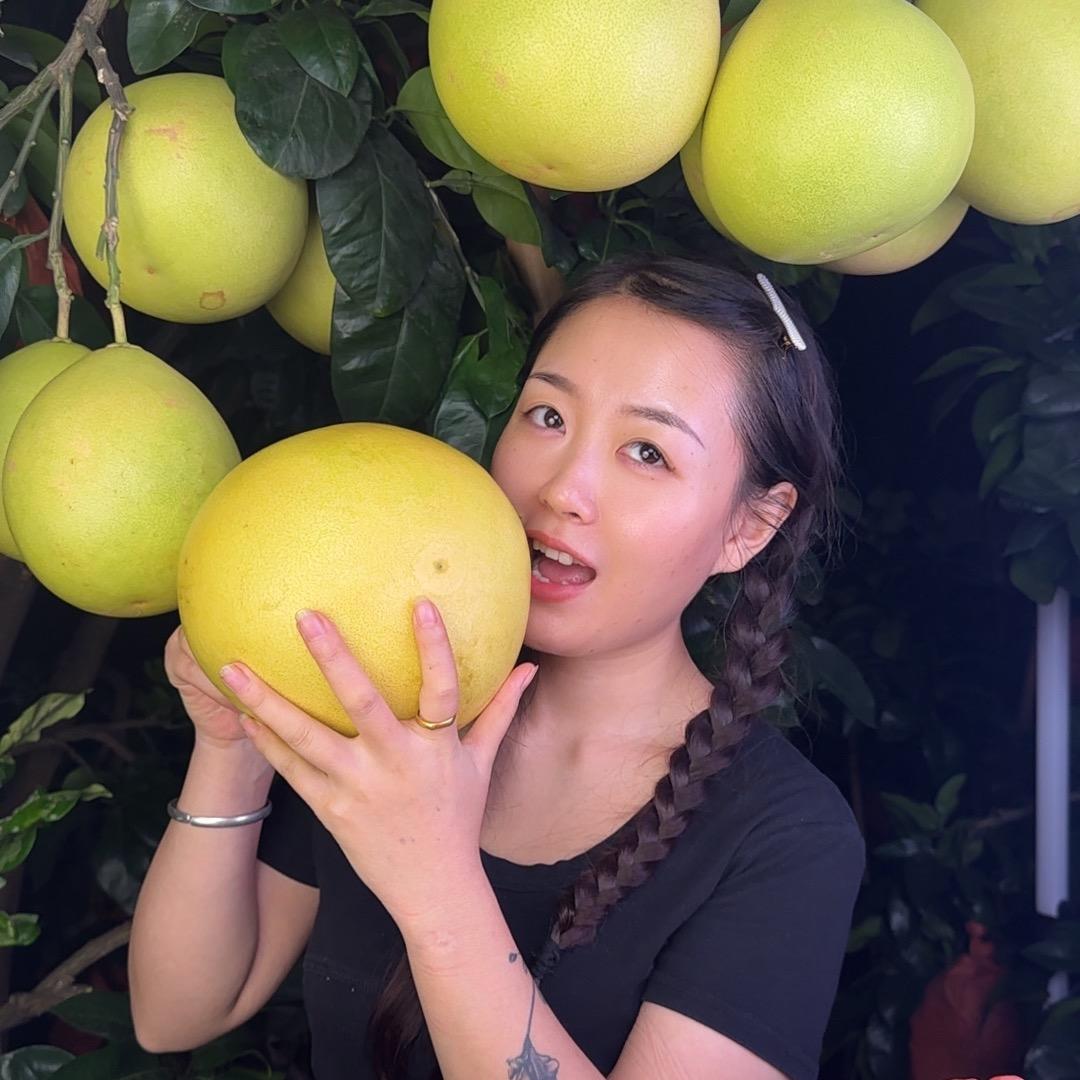 福建平和琯溪蜜柚