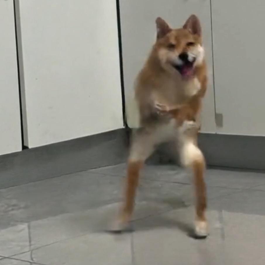 隔夜蒜苔