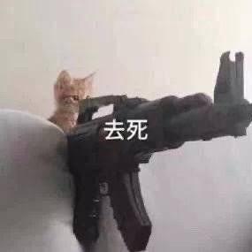 苟一颗麦麦香香双吉堡