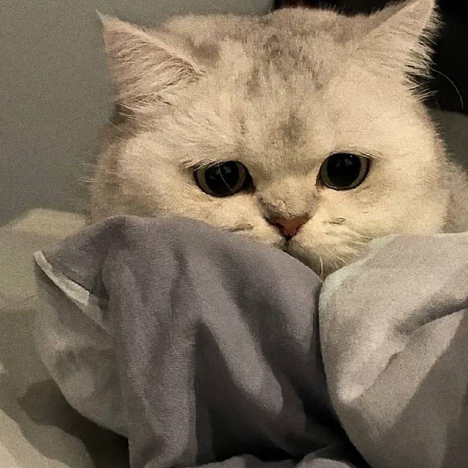 备忘录