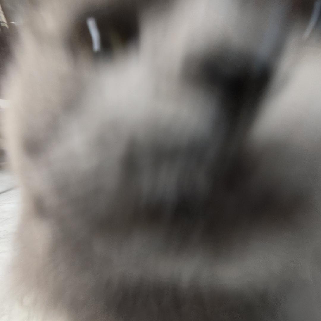 对抗小小布