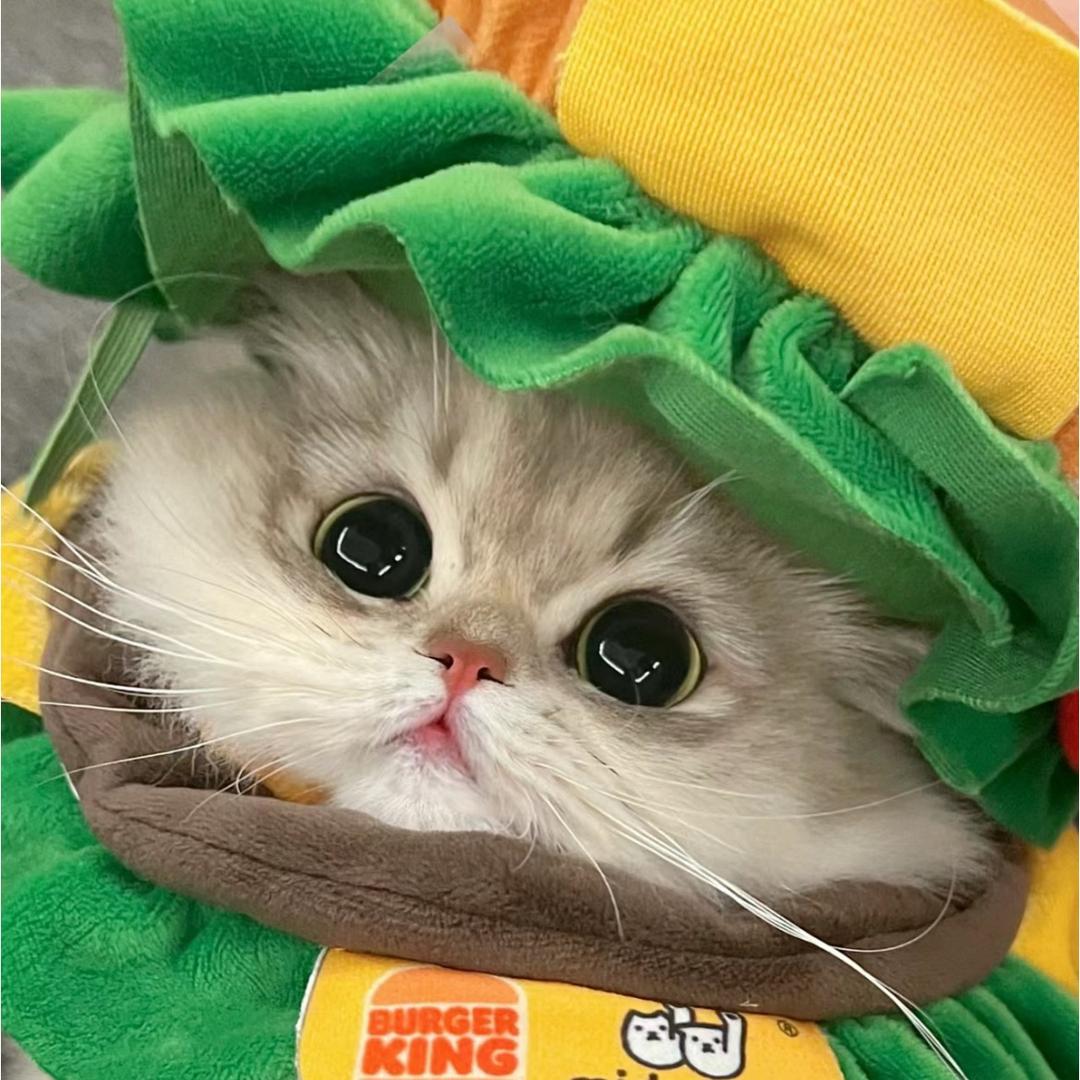 ᜊ🍔ᜊ