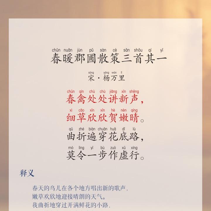 丁宠家的猫