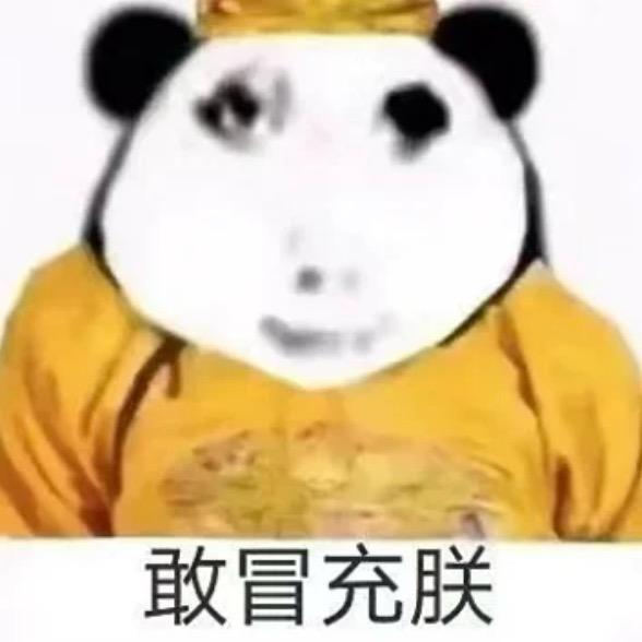 苦茶子飞哪去啦