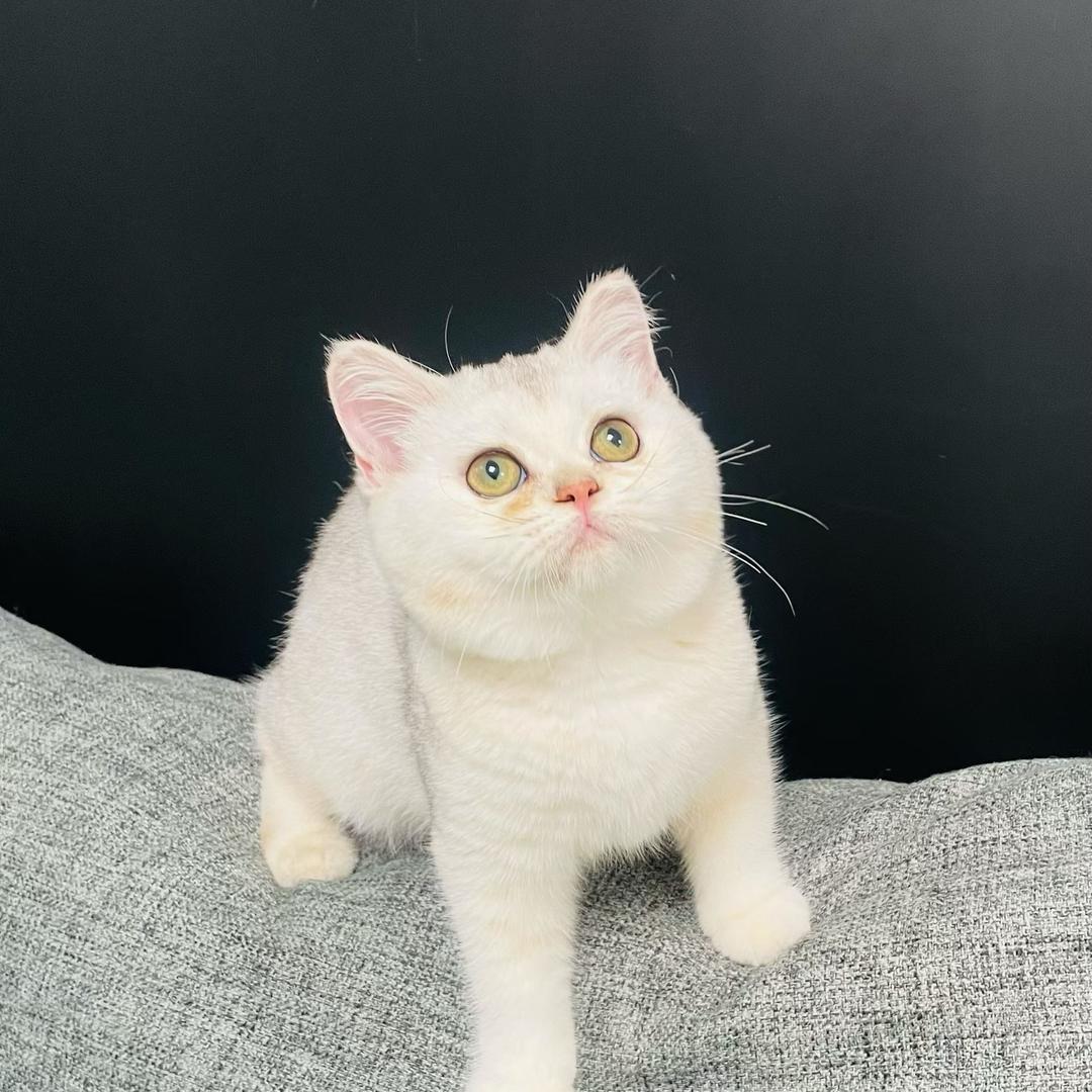 重庆网约车 小魏💓