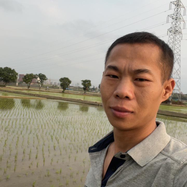 从来不会忘了你