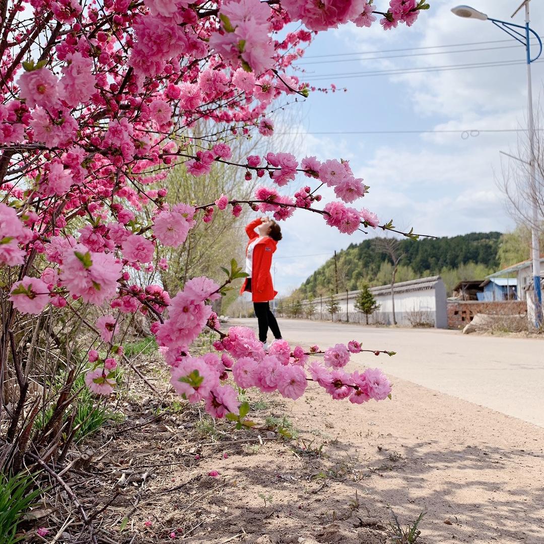 延边传统泡菜大酱妹妹
