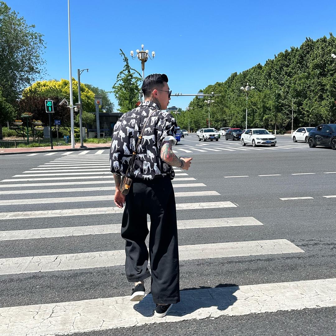 颍上•墨鹤刺青