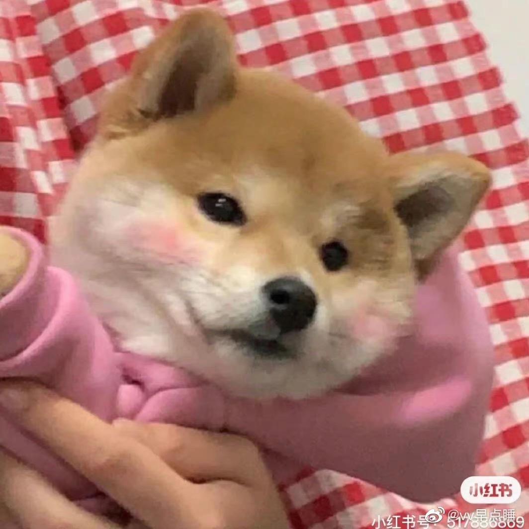 可爱多多多💗