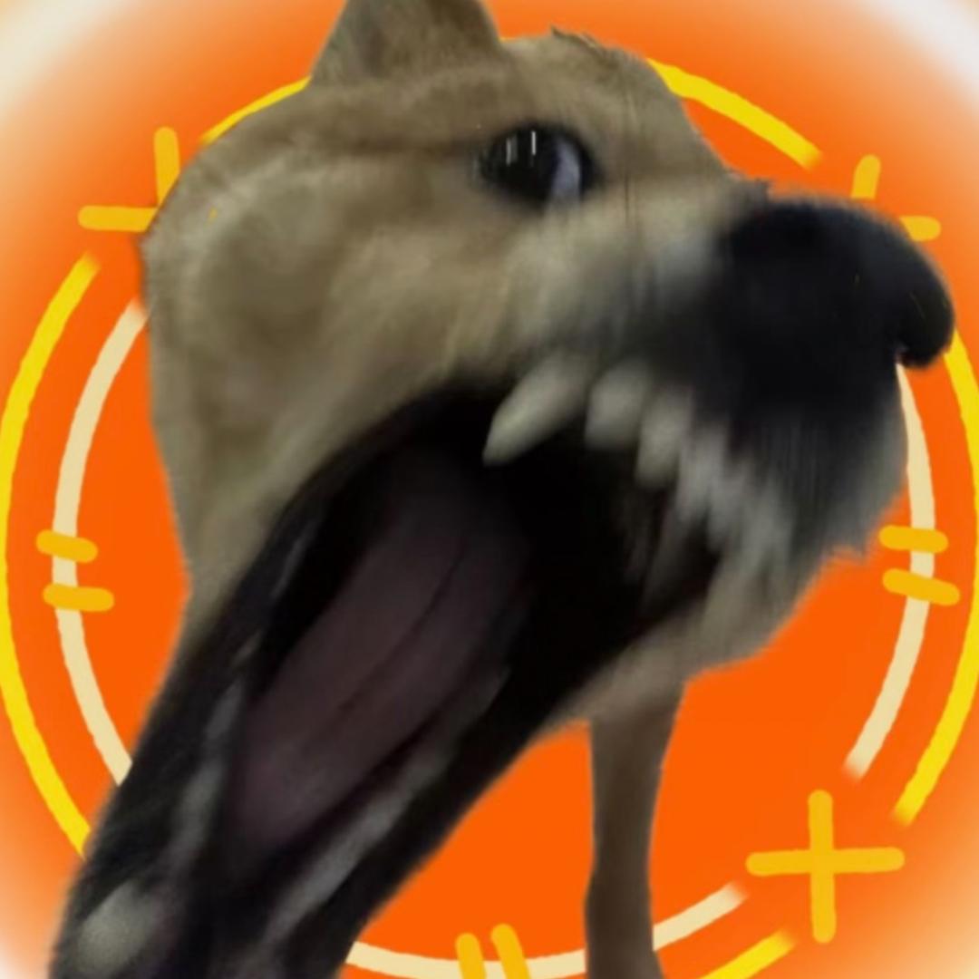 江孝甫.