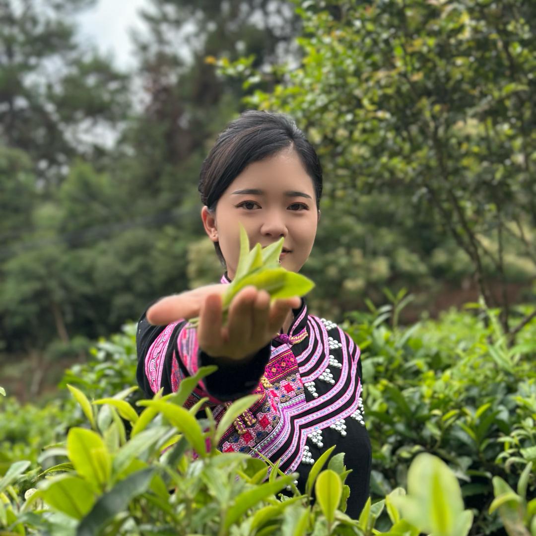 样样识百草