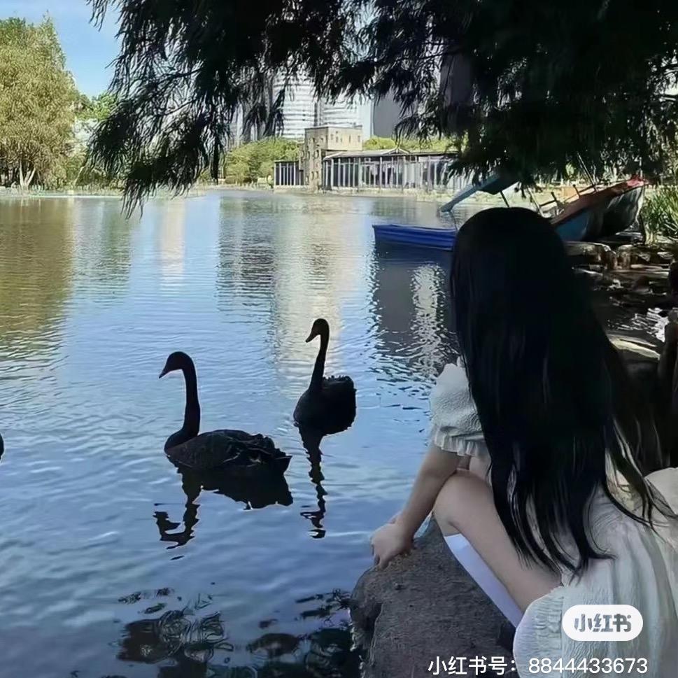 小燕