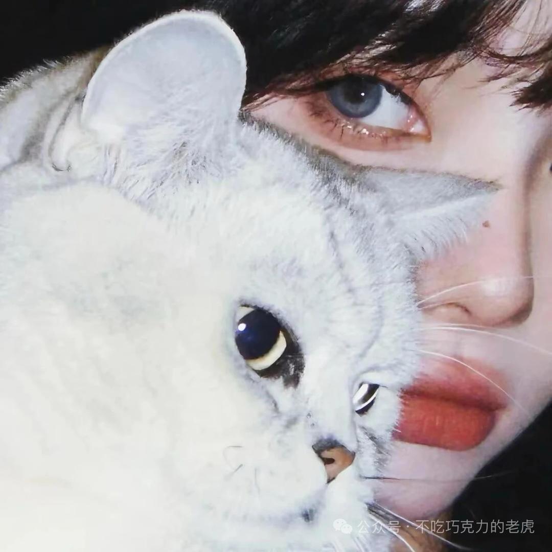 元气茶ค˒˒ ฅ