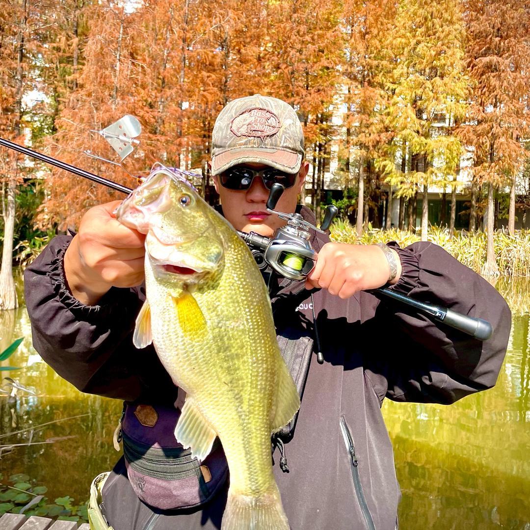晴天Lure