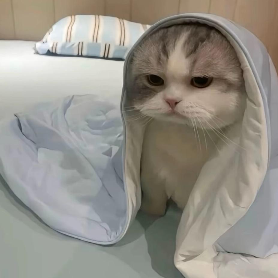 蜂蜜
