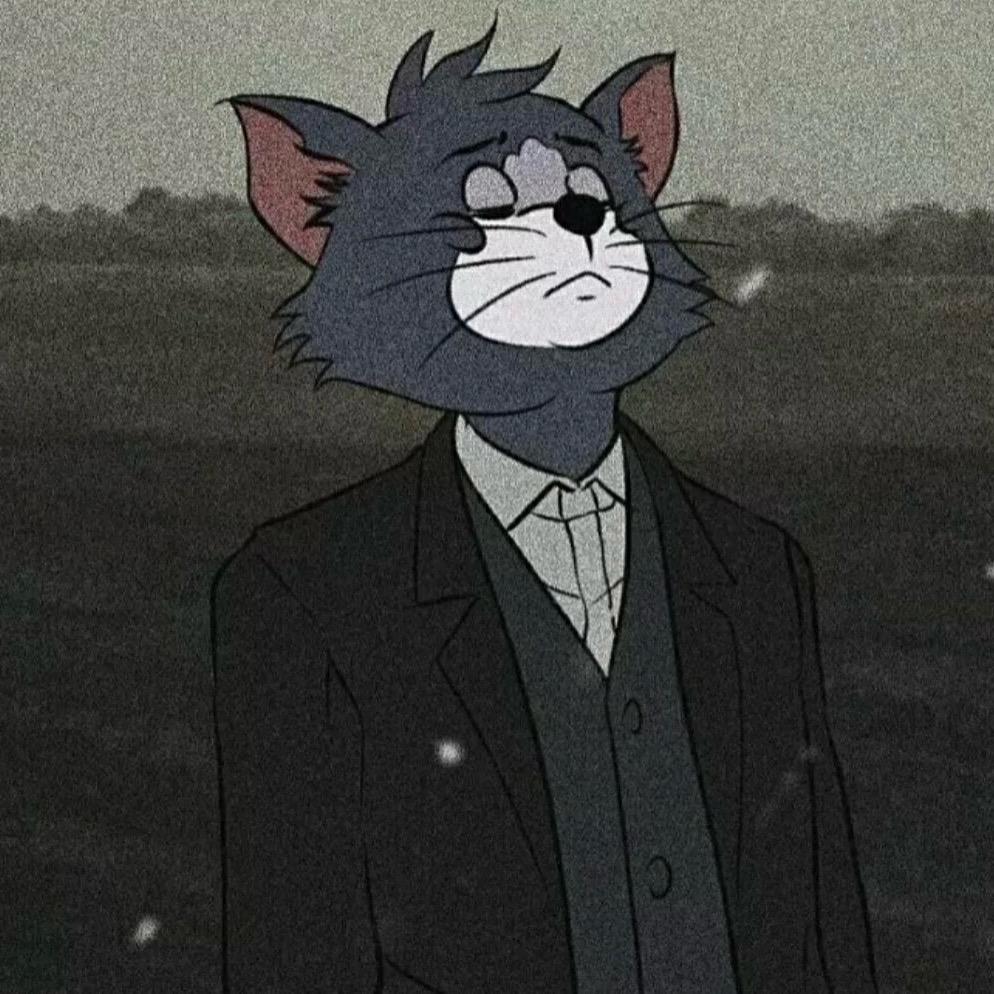 Zz💤
