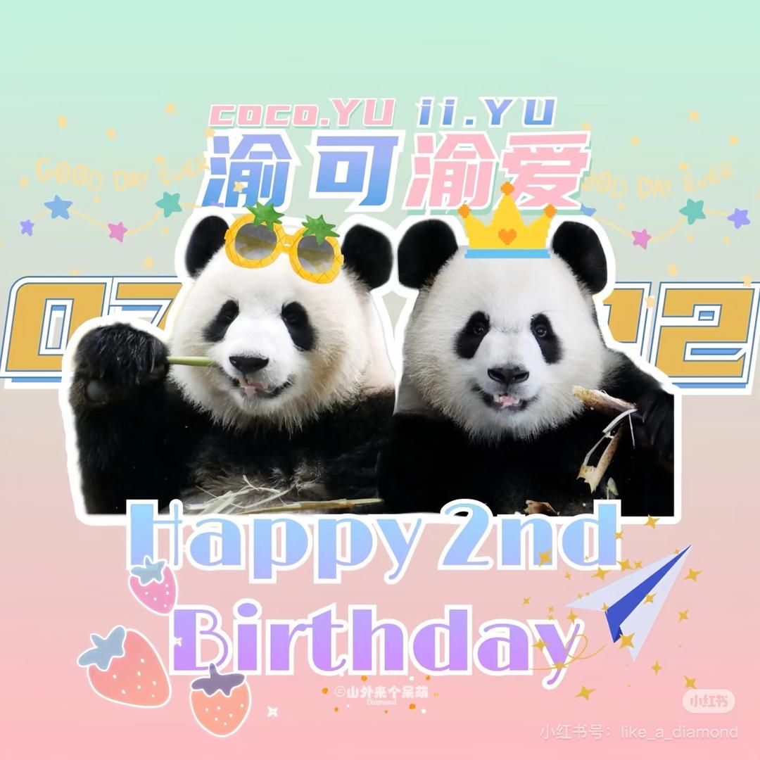 YY爱滚滚