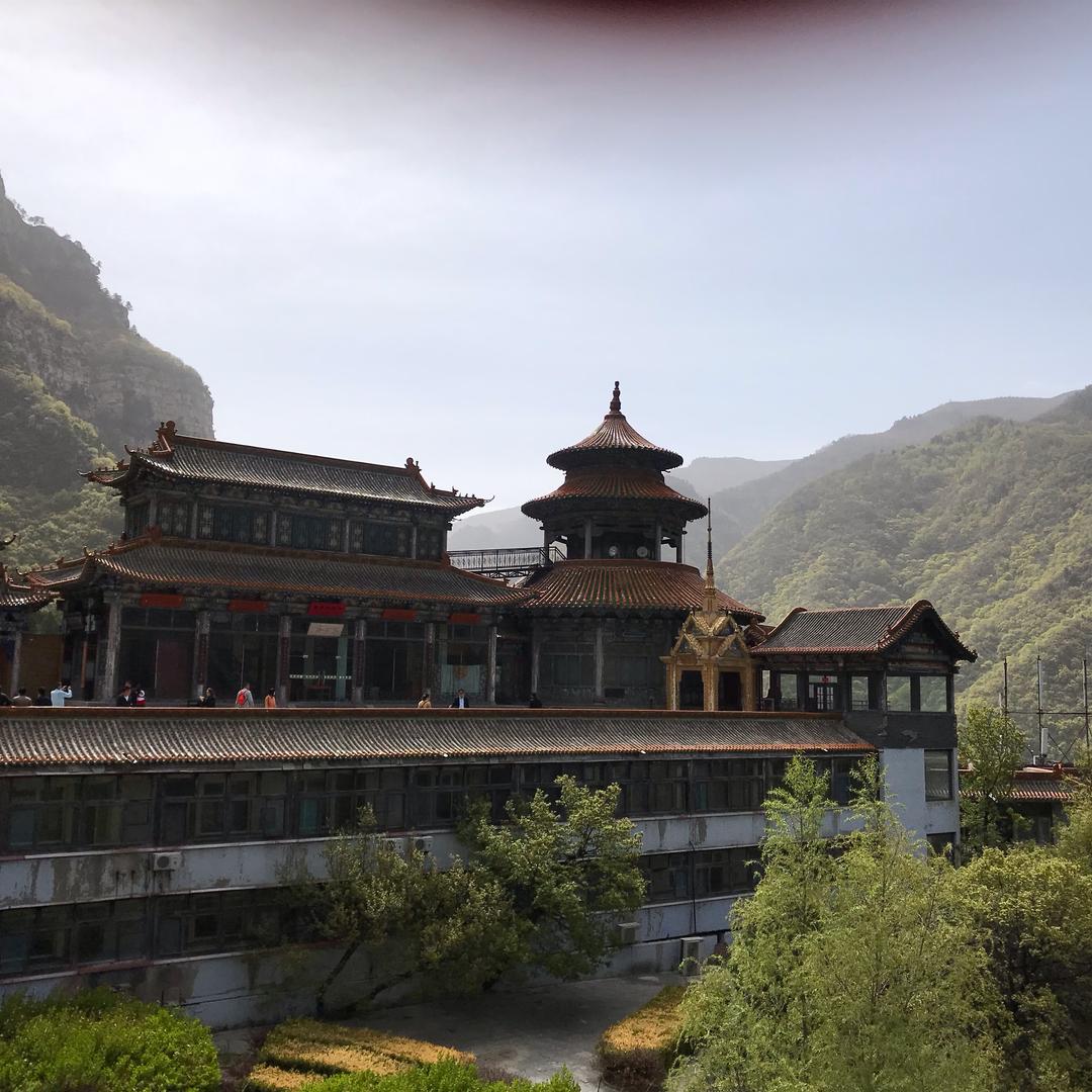美阳阳