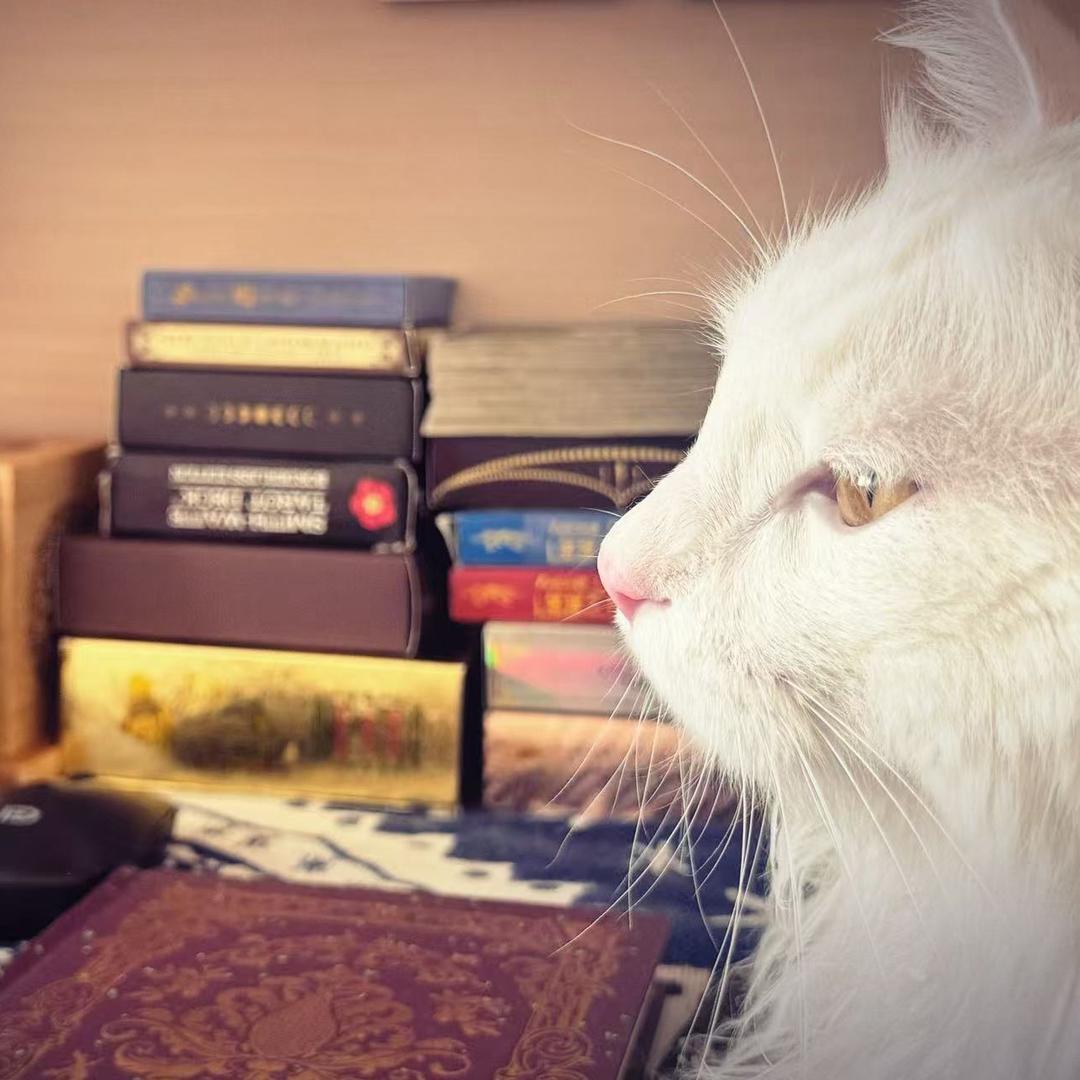 小魔女🧙‍♀️塔塔疗愈