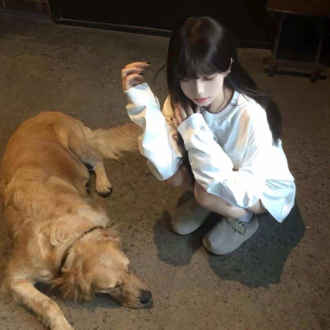 婧婧 婧婧