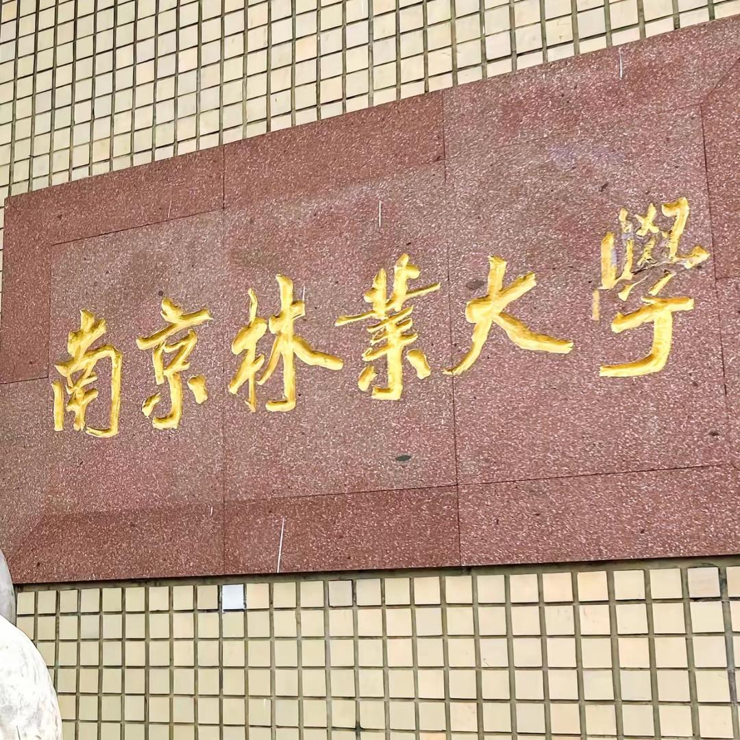 南京林业大学王老师