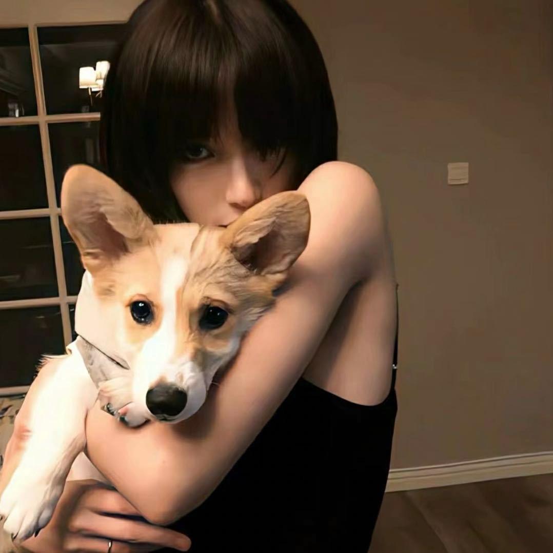 小新