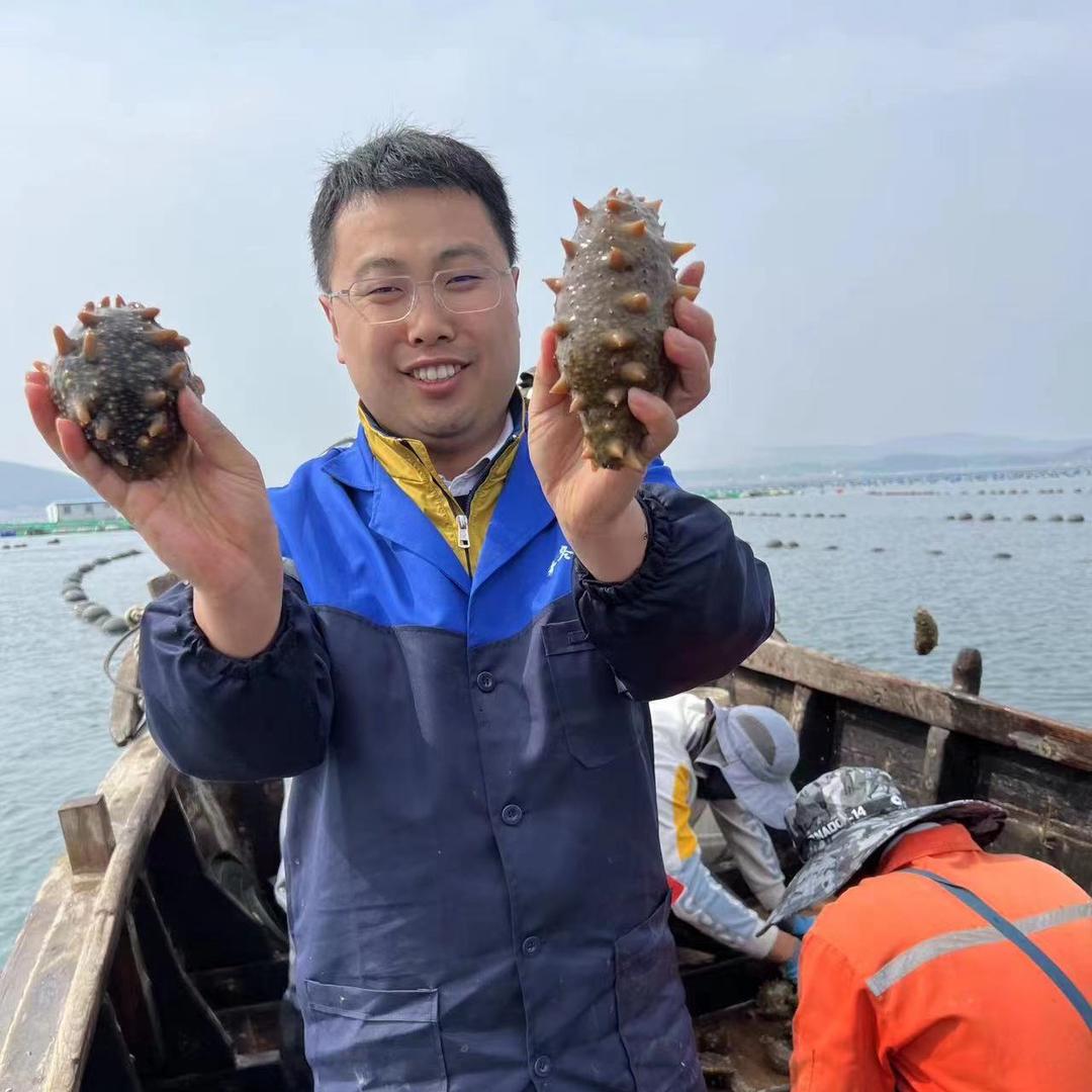 参冬哥野生海参