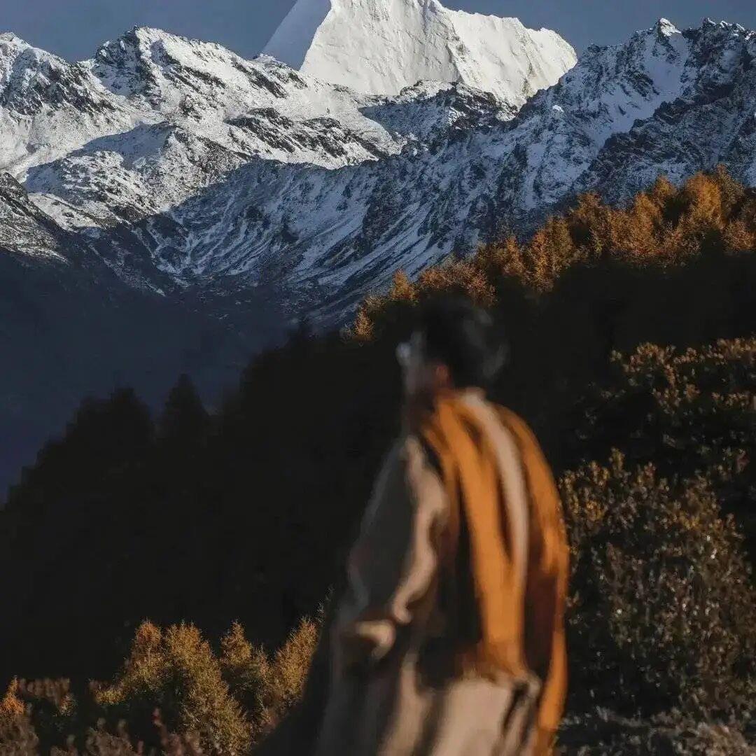 山鬼谣🍂
