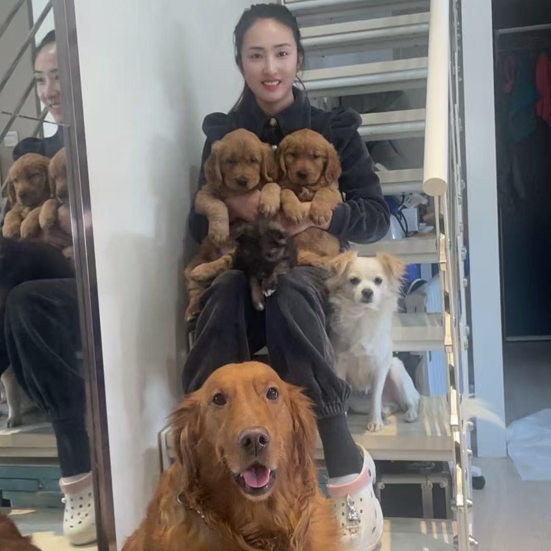 莹姐和她的狗子