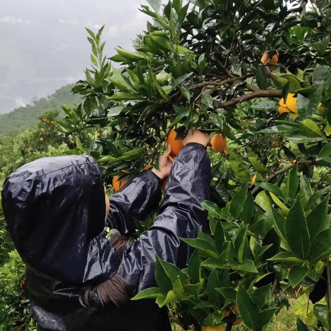 仙女的白马王子
