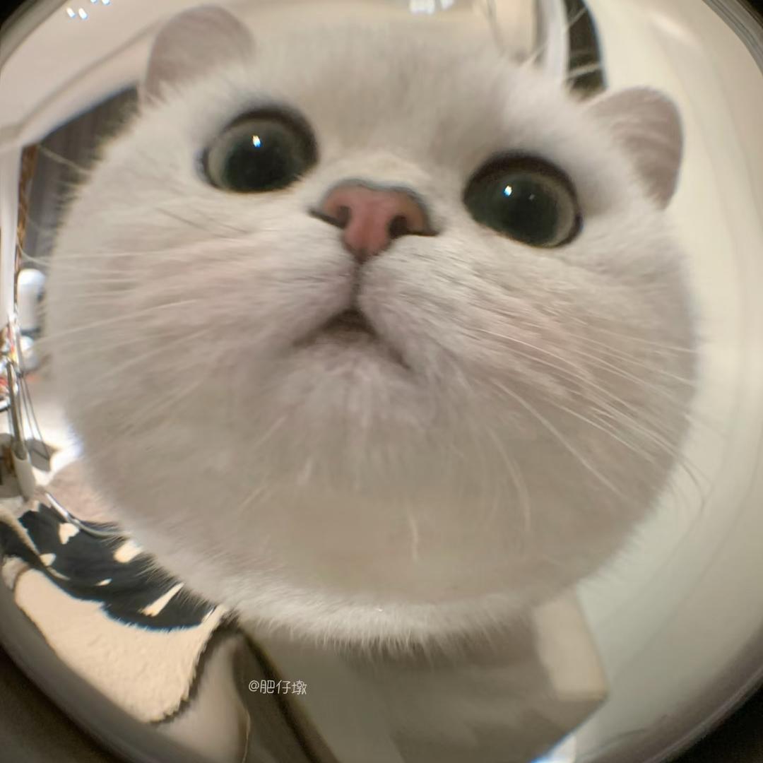 若水三百溪