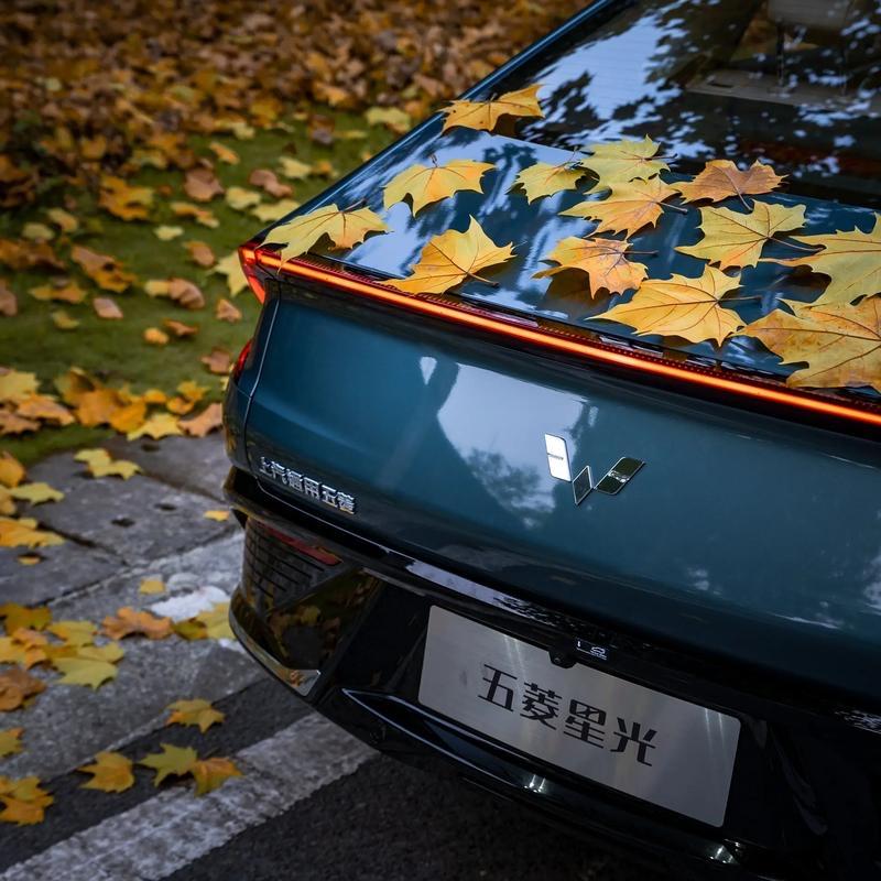 巩义五菱贾正经