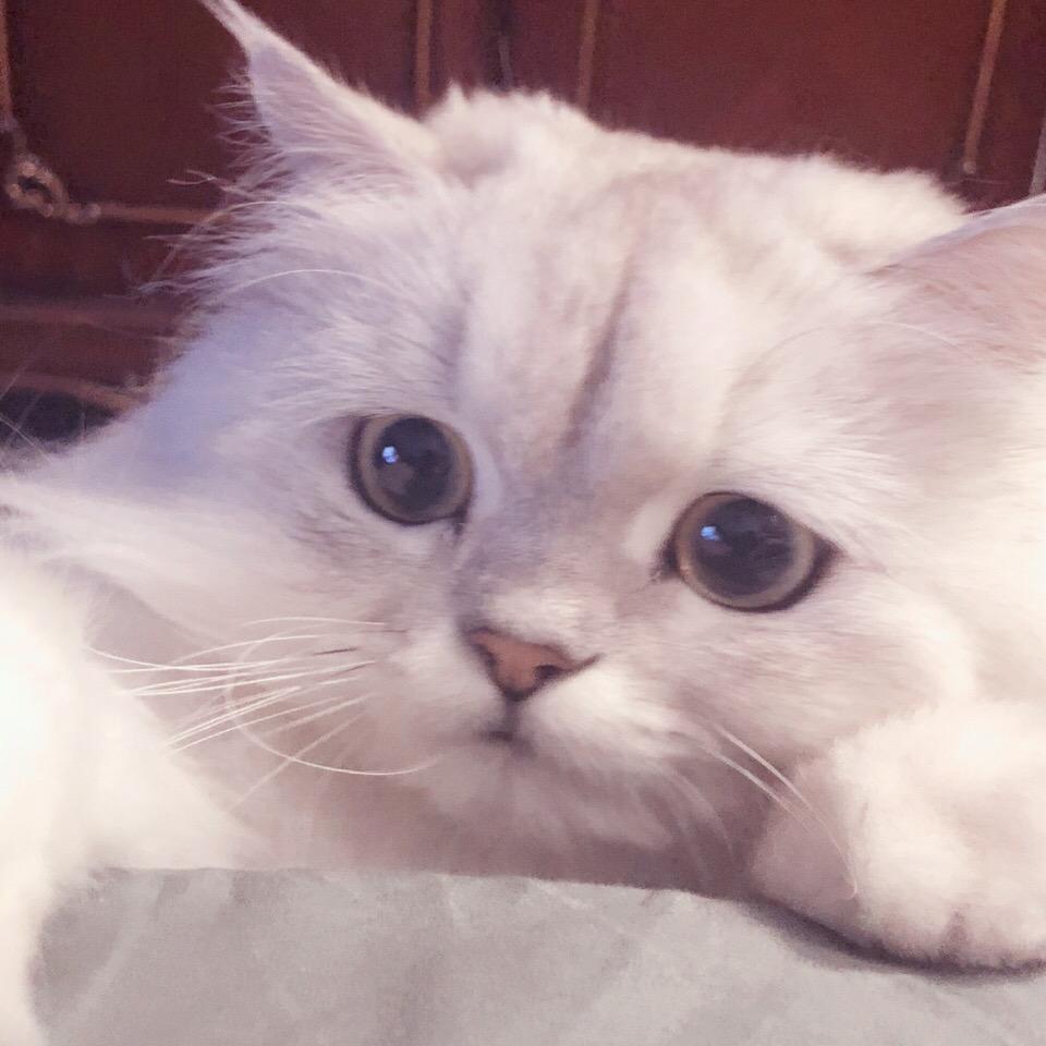 春秋
