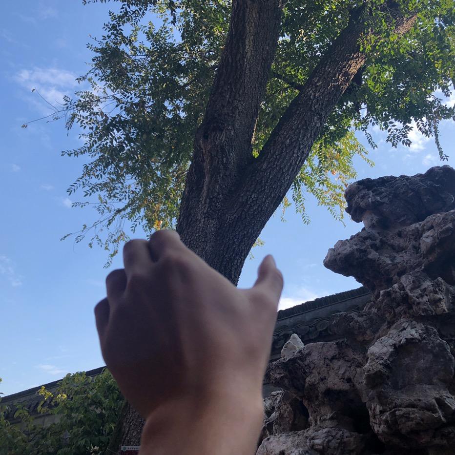 一招半式闯江湖