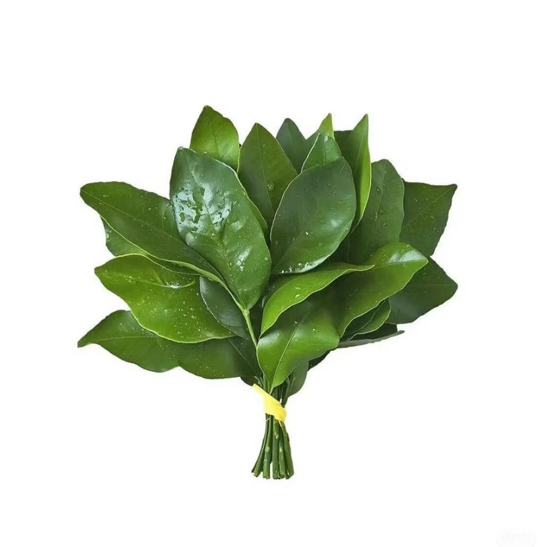 Amy美妆
