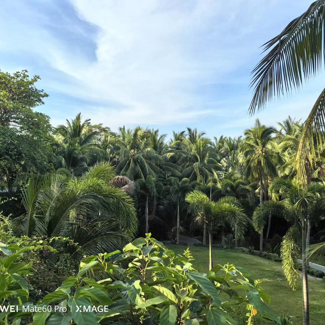 风风雨雨都是自己 💋