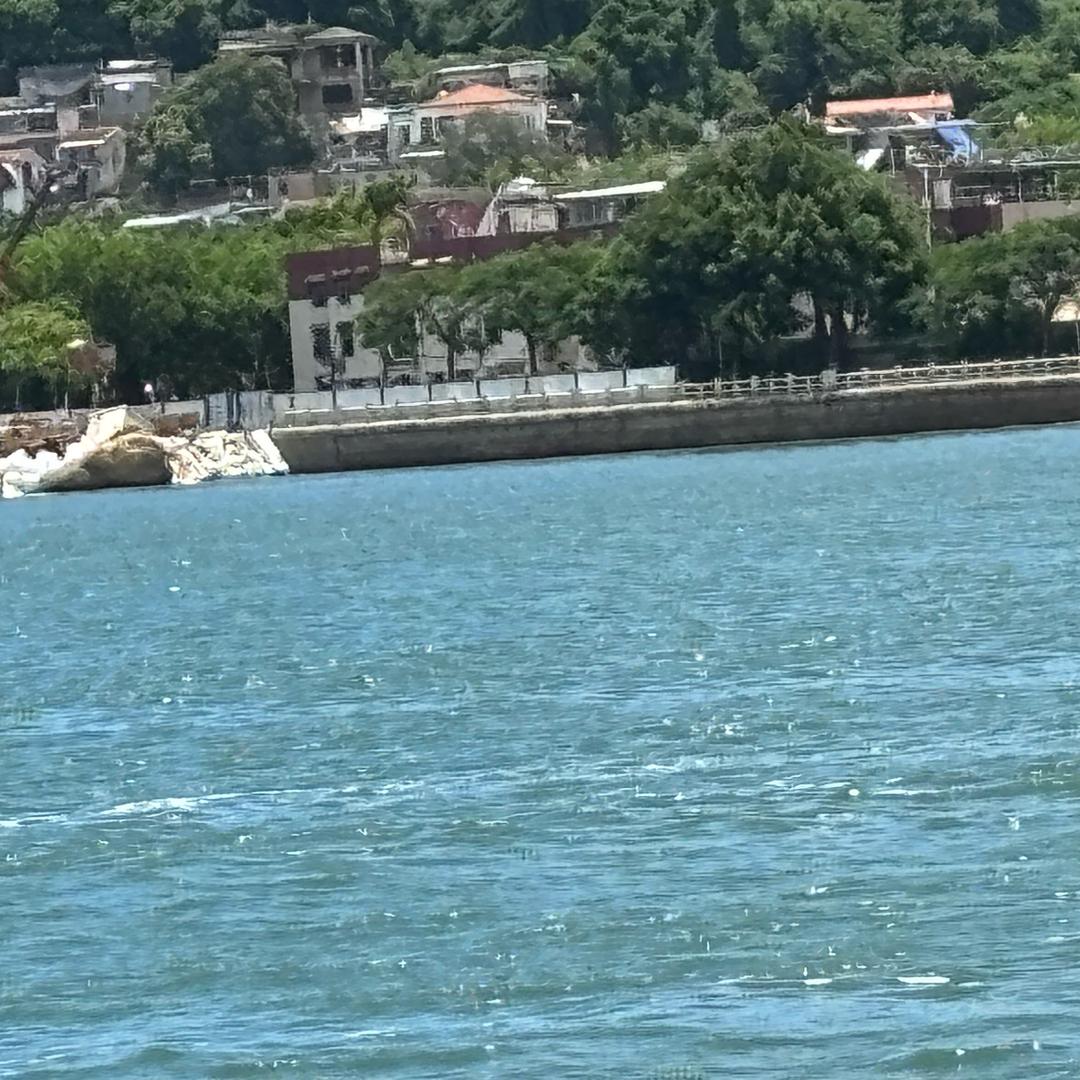 我心飞翔