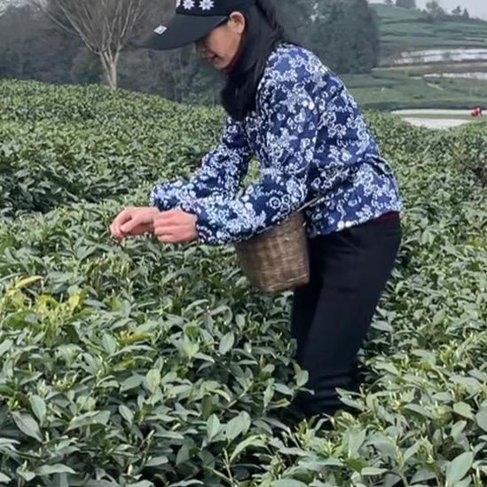 琴姐1