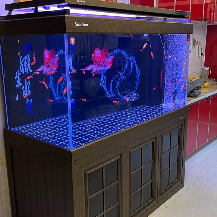 天津市西青区鱼之乐鱼缸管家