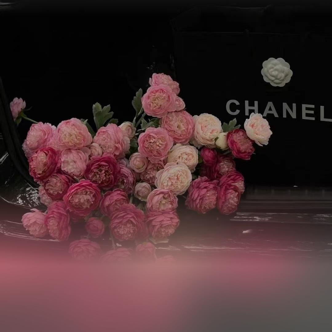 。。。。。。❗️❗️